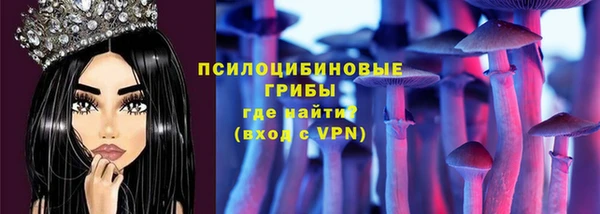 ешки Алексин