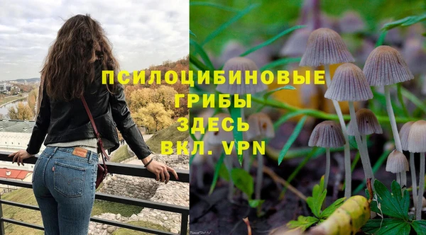 ешки Алексин