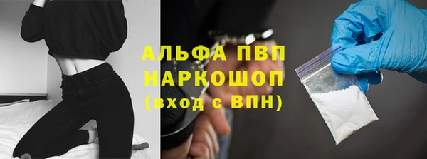 apvp Алзамай