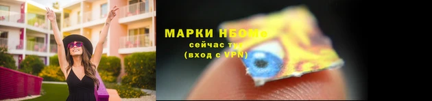 apvp Алзамай