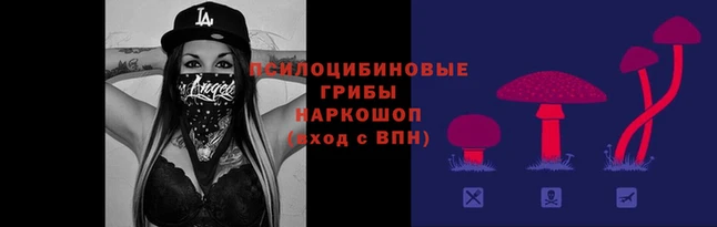 гашик Алексеевка
