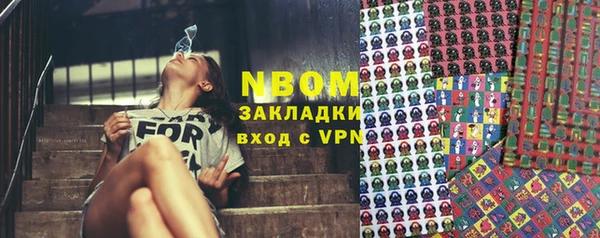 гашик Алексеевка