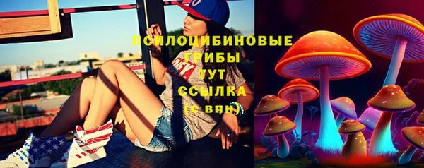 apvp Алзамай