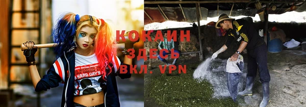ешки Алексин