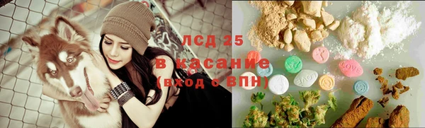 apvp Алзамай