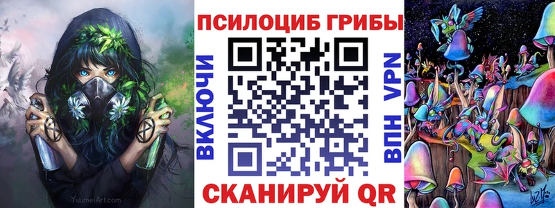 Псилоцибиновые грибы Psilocybine cubensis  Юхнов 